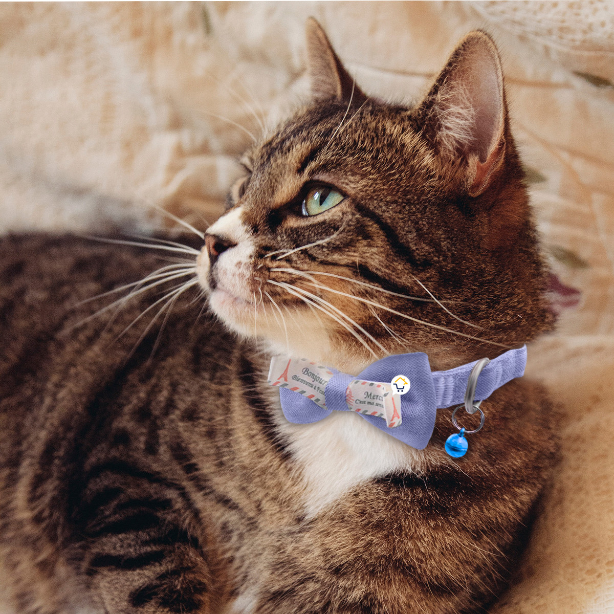 collar corbatin con cascabel mas44 collar corbatin con cascabel mas44