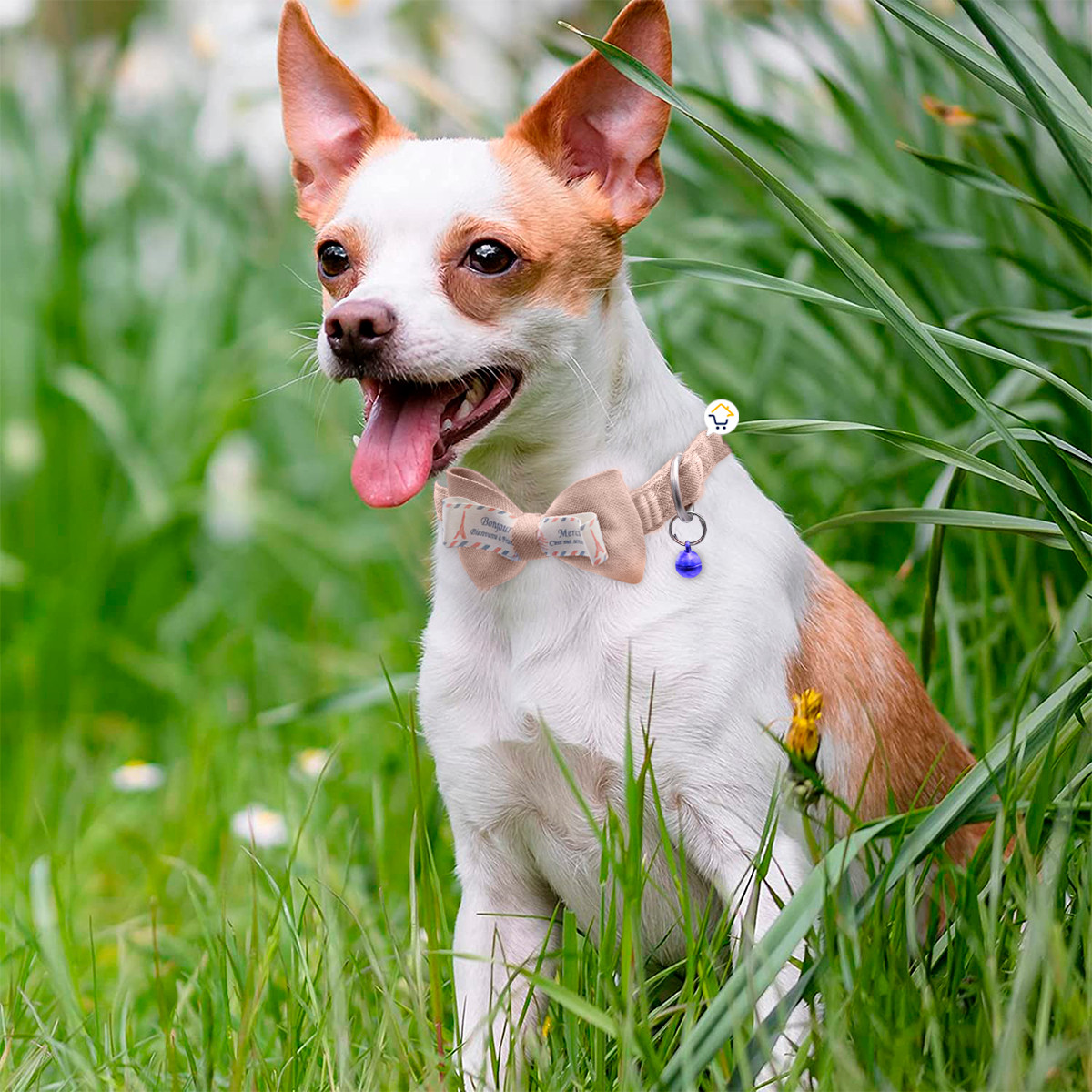 collar corbatin con cascabel mas44 collar corbatin con cascabel mas44